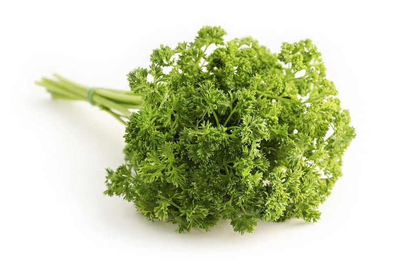 Rooftop Herb Garden